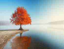 网​站﻿日﻿志﻿是﻿什﻿么‍